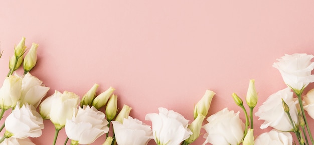 Witte rozen op roze achtergrond