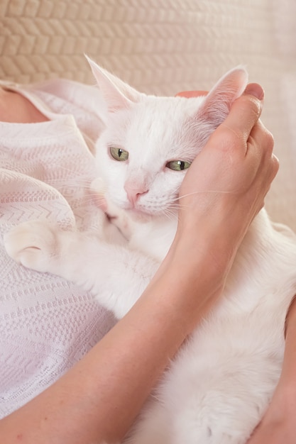 Witte schattige kat in de armen van de vrouw. het concept van dierenverzorging, zoopsychologie, diergeneeskunde.