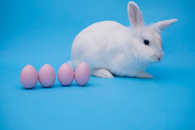 Witte schattige paashaas op een blauwe achtergrond konijntje zit met roze paaseieren gelukkige paashaas