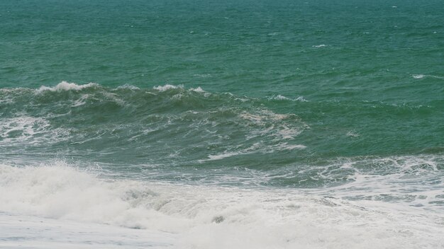 Witte schelpen op prachtige golven stormachtige zeeën tijdens slecht weer cyclone orkaan winden