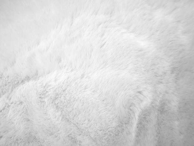 Witte schone wol textuur achtergrond lichte natuurlijke schapenwol witte naadloze katoen textuur van pluizige vacht voor ontwerpers close-up fragment wit wollen tapijt