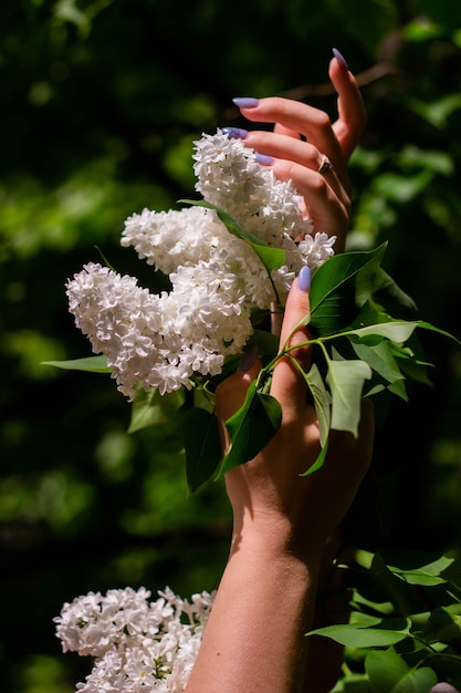 Foto witte sering in vrouwelijke handen