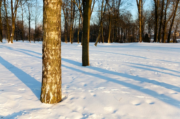 Witte sneeuw die in de winter op de grond ligt