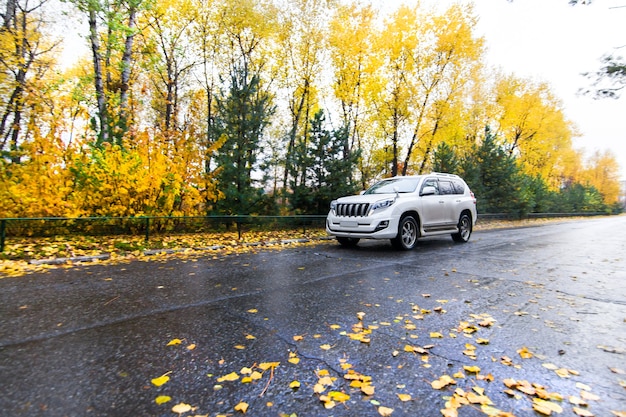 Witte suv op herfstweg in regenachtige dag