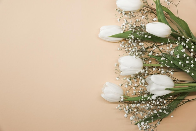 Witte tulpen en gypsophila bloemen boeket op een beige achtergrond mothers day verjaardag viering concept kopie ruimte voor tekst mockup