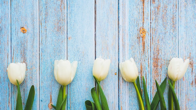 Witte tulpen op het oppervlak van een houten hek