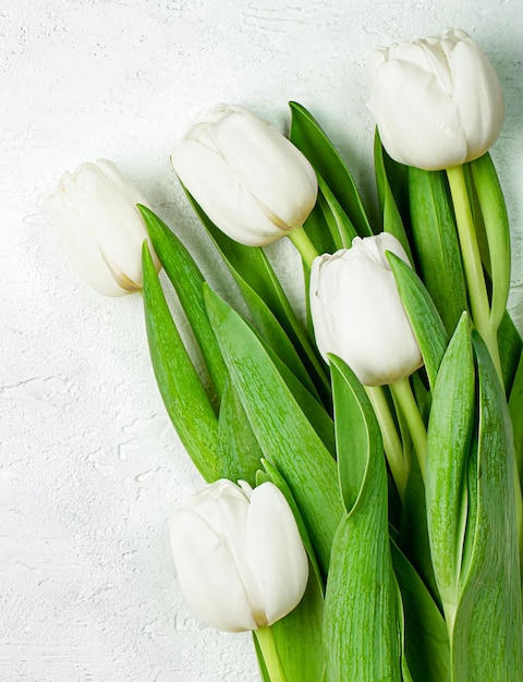 Witte tulpen op licht beton