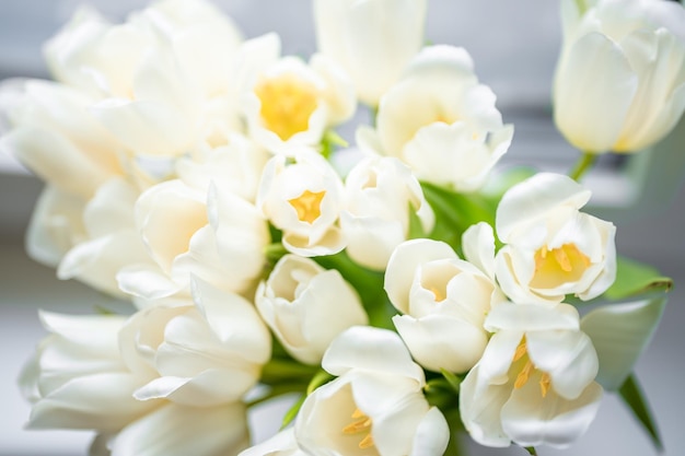 Witte tulpen op witte onscherpe achtergrond gefeliciteerd