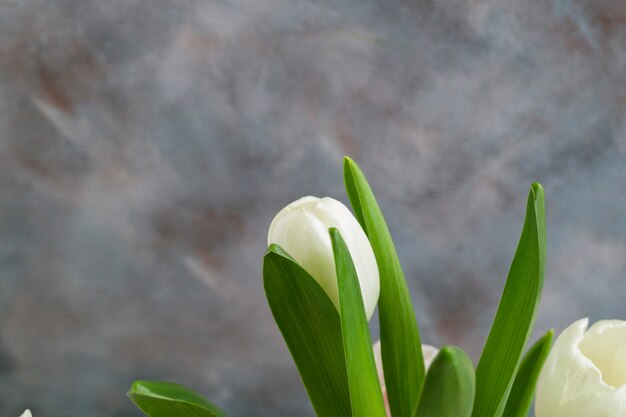 Witte tulpen.