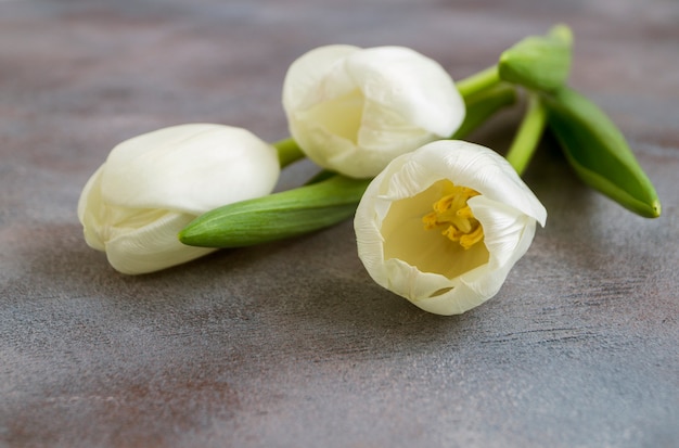 Witte tulpen.