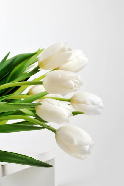 witte tulpen