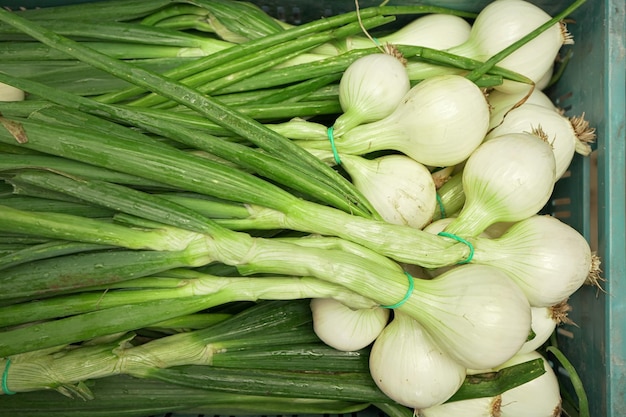 Witte uienkoppen met groene bladeren in plastic doos, weergegeven op boerenmarkt