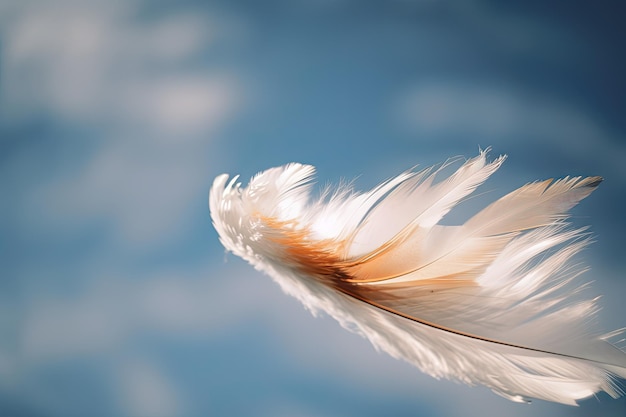 Witte veer vliegt in winderige lucht met blauwe en oranje tinten
