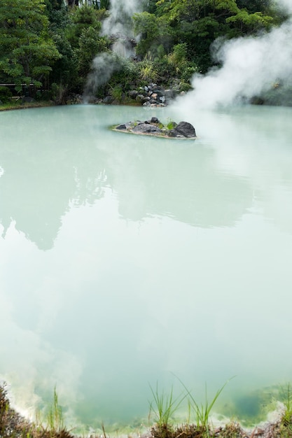 Witte vijverhel in Beppu