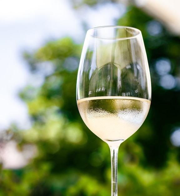Witte wijn in luxe restaurant op zomertuinterras wijnproeverij bij wijnmakerij in het vi...