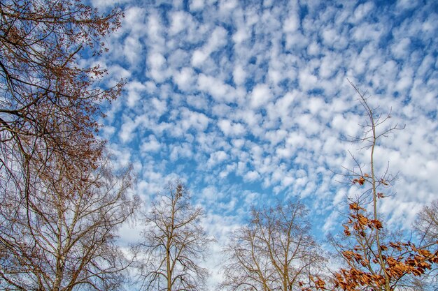 Foto witte wolk op blauwe hemelachtergrond met zonneschijn