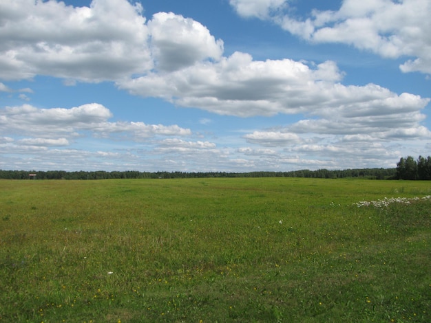 Witte wolken in de blauwe lucht boven het veld