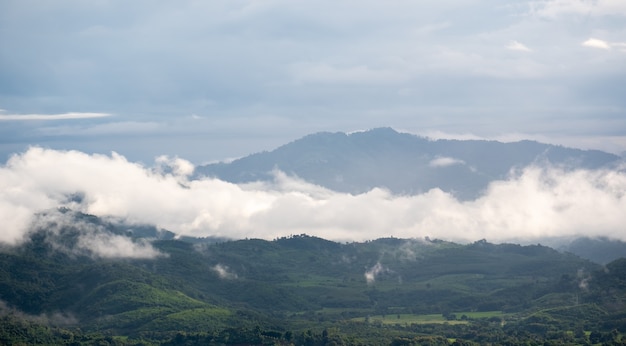 Witte wolken op de bergen