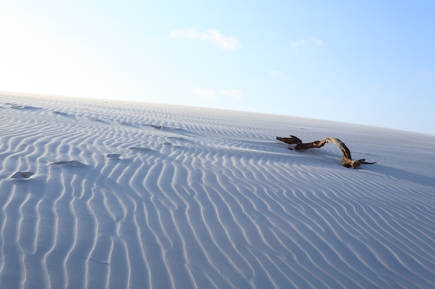 Witte zandduinen panorama van Lencois Maranhenses National Park, Brazilië. Regenwater lagune. Braziliaans landschap