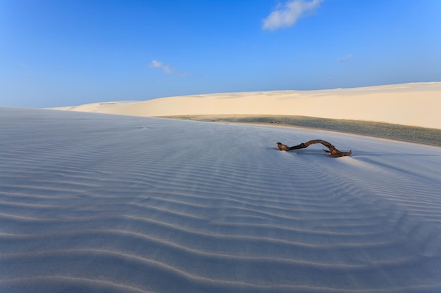 Witte zandduinen panorama van Lencois Maranhenses National Park, Brazilië. Regenwater lagune. Braziliaans landschap