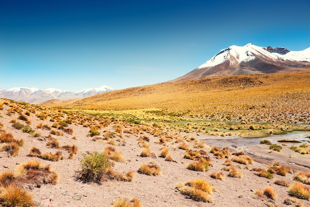 Woestijn en bergen op het plateau Altiplano, Bolivia