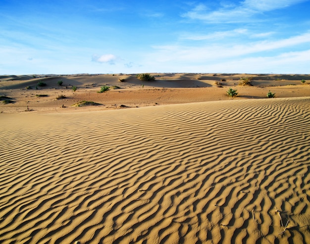 Foto woestijn landschap