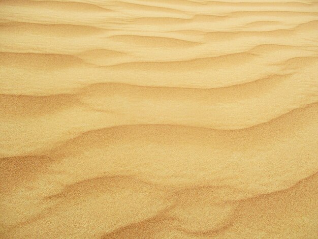 Foto woestijn met warme kleuren zandduinen