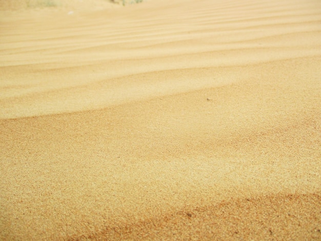 Foto woestijn met warme kleuren zandduinen