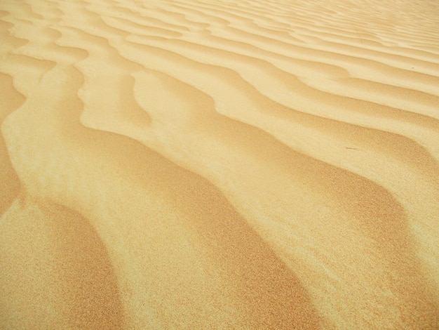 Foto woestijn met warme kleuren zandduinen