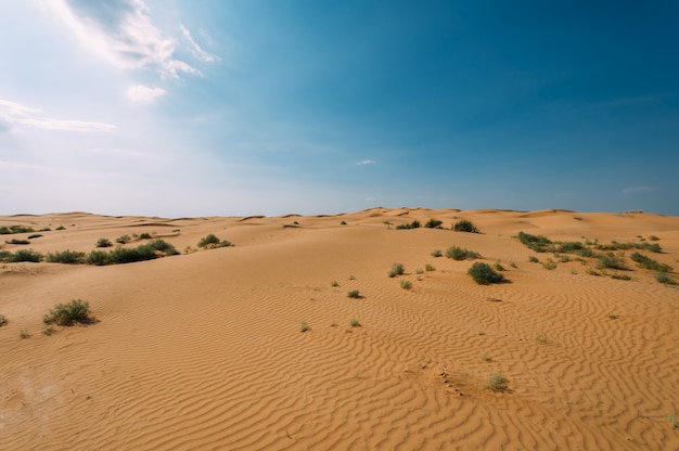 Woestijn met zandduinen op een heldere zonnige dag. Woestijnlandschap.