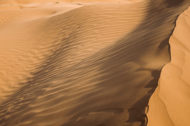 Woestijn met zandduinen op een heldere zonnige dag. Woestijnlandschap.
