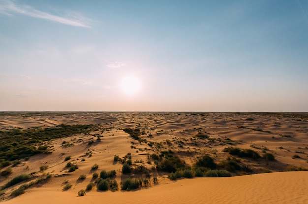 Woestijn met zandduinen op een heldere zonnige dag. Woestijnlandschap.