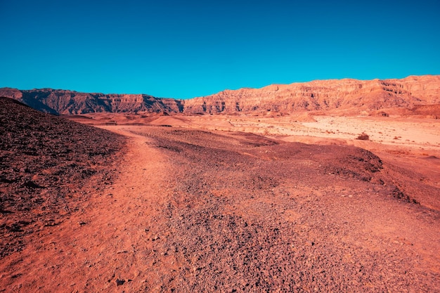 Woestijn natuur landschap Zandsteen rotsen in Timna park Israel