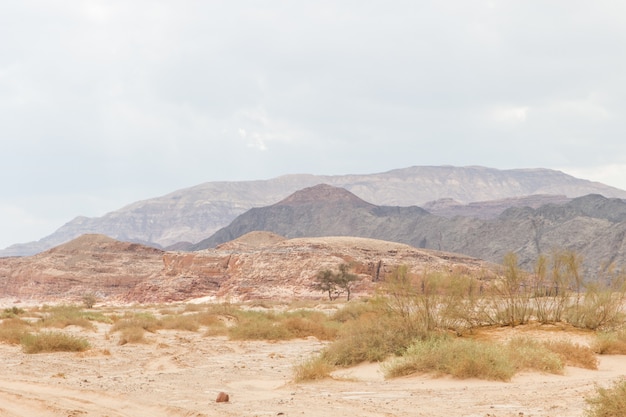 Woestijn, rode bergen, rotsen en bewolkte hemel. Egypte, het Sinaï-schiereiland.