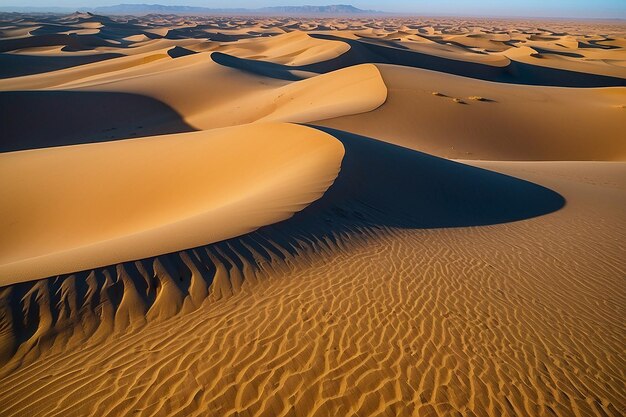 Woestijn van Noord-Afrika zandbarkhans