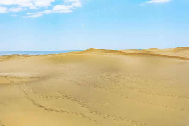Woestijn van zand.