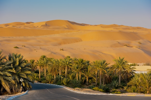 Woestijnduinen in Liwa-oase, Abu Dhabi, Verenigde Arabische Emiraten