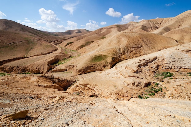 Woestijnlandschap bij Jeruzalem, Israël