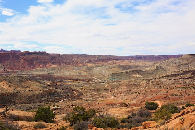 Woestijnlandschap in de lente, Utah, de VS