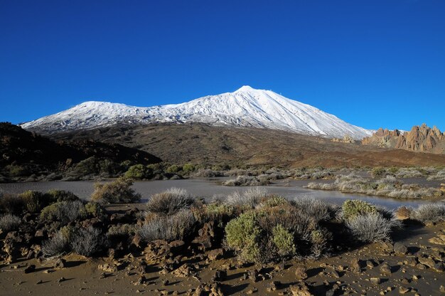 Woestijnlandschap in Nationaal Park Volcan Teide, Tenerife, Canarische Eilanden, Spanje