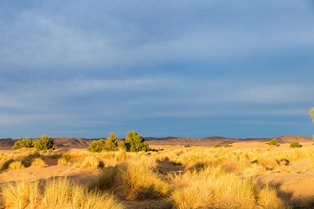 Woestijnlandschap, Marokko