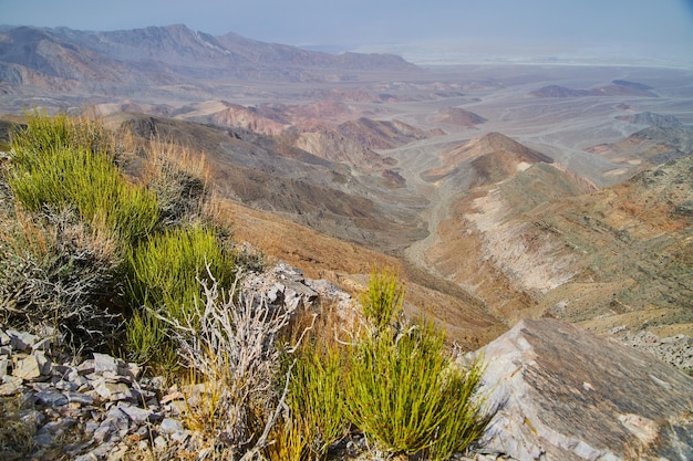 Woestijnplanten in de lente met uitzicht op Death Valley van bovenaf