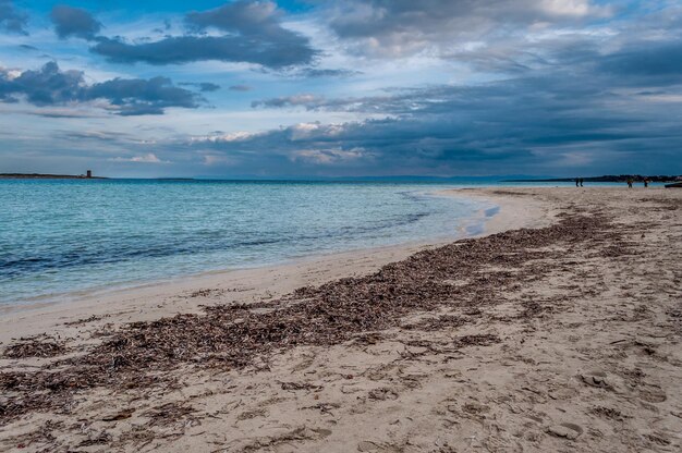 Woestijnstrand in de wintermiddag