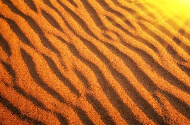 Woestijnzand met zonlicht. Goudwoestijn tot in de zonsondergang