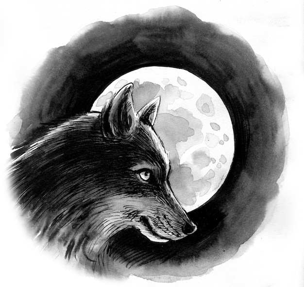 Wolf head and fill moon. Ink and watercolor drawing