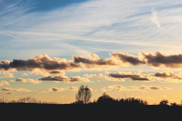 Wolken bij zonsondergang boven silhouetten van struiken