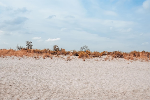 Wolken op blauw luchtgras en zand