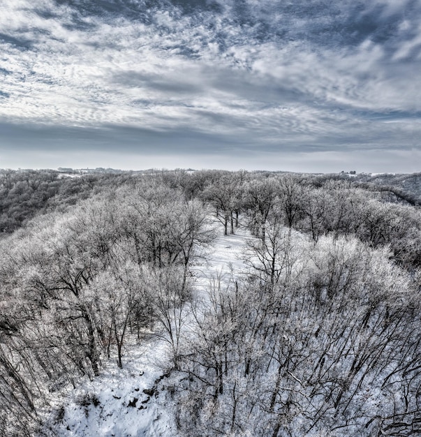 Wolken over het bos in de winter Foto