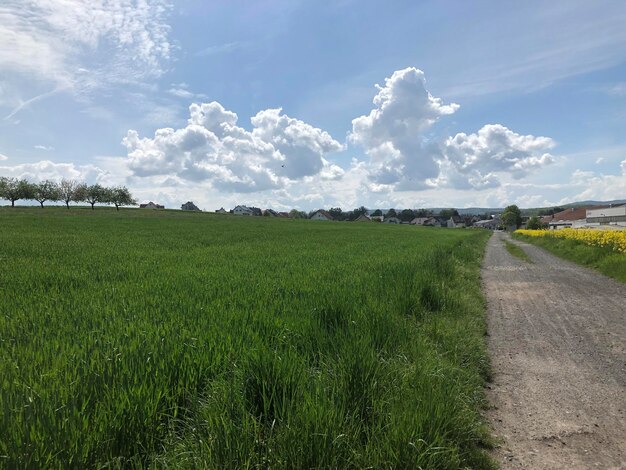 Photo wolken uber feld