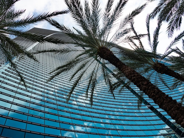 Wolkenkrabber gebouw architectuur met palmbomen wolkenkrabber gebouw van glas